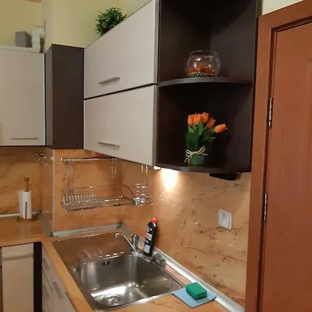 Biju Apartment *